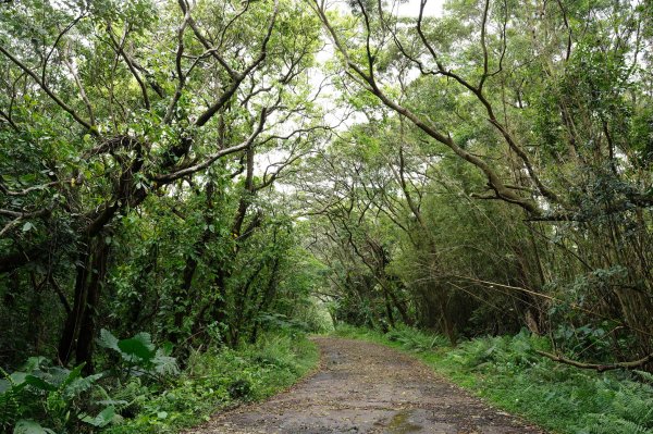 臺北 北投 嘎嘮別山、稻香山、貴子坑山2760546