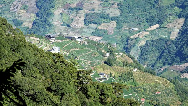 不一樣的角度欣賞奇萊南華之美登尾上山上深堀山經能高越嶺道兩日微探勘O型1886397