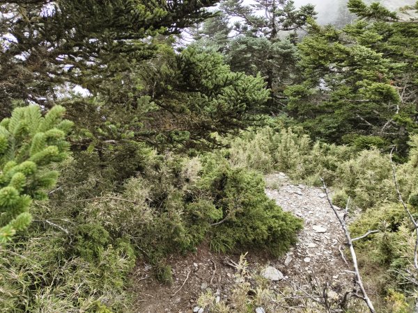 北一段(06/14)巴巴山 2025_0906~132886708