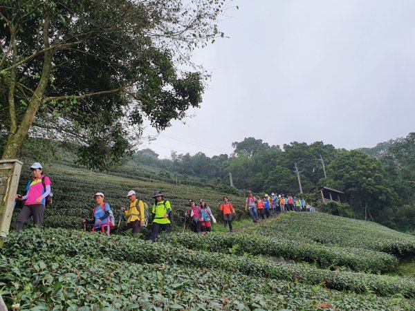【雲嘉】後棟山連走大二尖山1478478