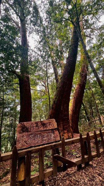 🌈8/16（六）遠的要命的王國~鎮西堡B區神木巡禮✨FB：熊熊趴爬走🌈2861641