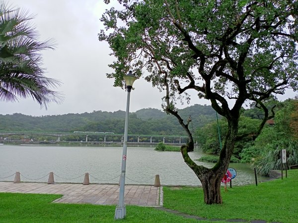 大溝溪生態治水園區、大湖公園 (防災公園) 【走路趣尋寶】1898047