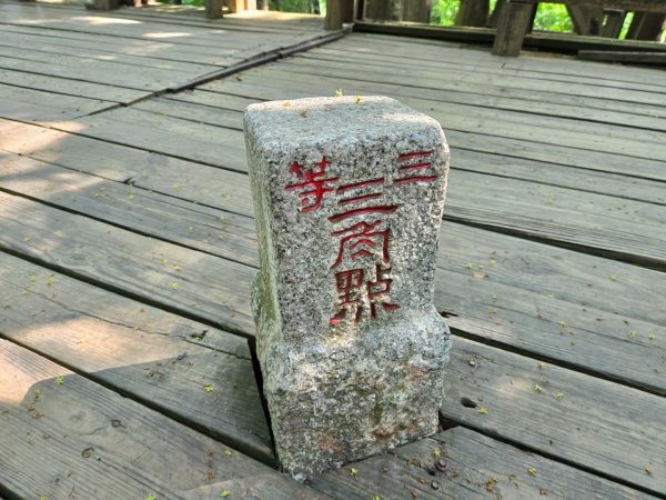 新化林場後山步道2776970