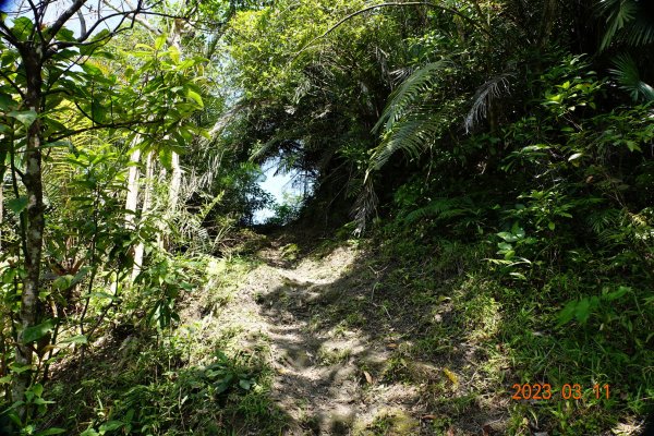 花蓮 豐濱 八里灣山(貓公山、吉拉雅山)2066415