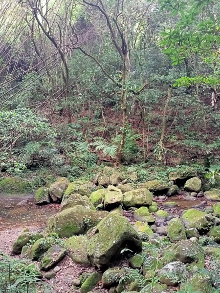 【臺北大縱走4】風櫃嘴→雙溪溝古道→五指山古道→大崙頭山北面步道→許願步道→圓覺寺步道→大溝溪→大湖2469158