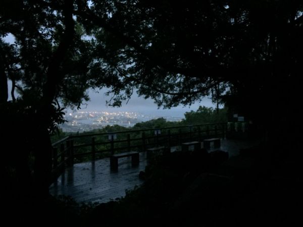 雨後柴山行390734