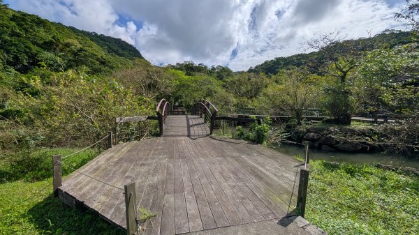 114.11.09草嶺古道芒花季之旅2932944