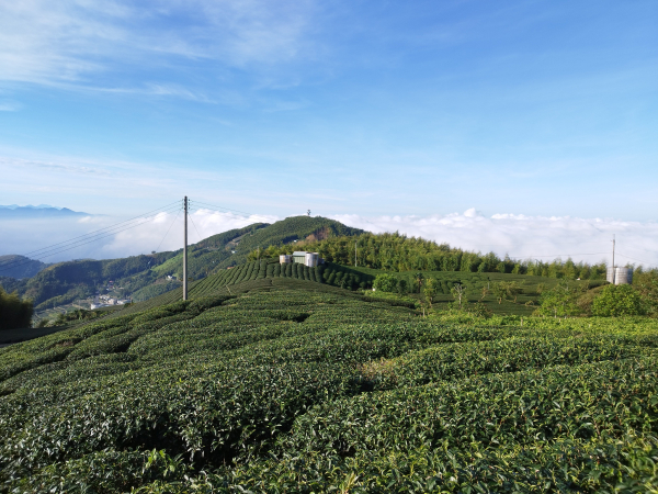 [嘉義番路][二]隙頂山、隙頂山東南峰、番路山(土匪山)、龍林厝