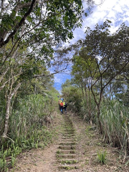 鱷魚頭景觀步道2729225