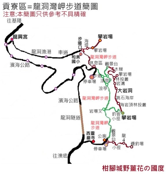 貢寮區龍洞灣岬+金沙灣野百合花3049160