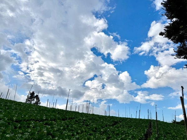 瞭望台-瓊山-望美山-獵人古道2886889