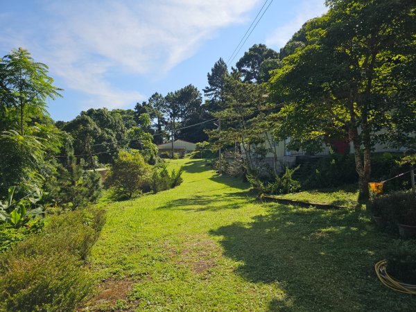 五指山橫向登山步道 - 2024森遊竹縣皮皮獅Hike客任務2555812