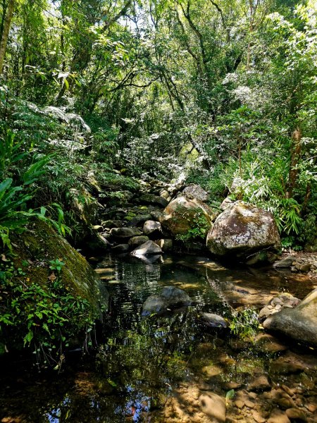中坑古道(淡蘭中路)-新北市雙溪區2886249
