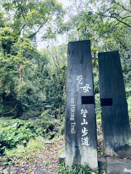 20250329 抹茶山-聖母登山步道2758932