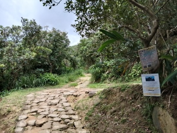 瑞芳區南子吝步道+南子吝稜+南子吝山+南子吝步道P字走2798458