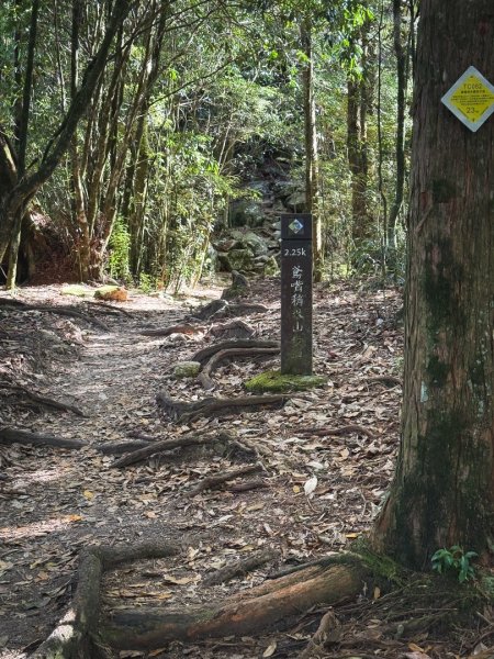 鳶嘴稍來步道賞楓季 ，大雪山門票優惠到12/31！2969550