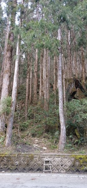 2025 3/1 三星山2723842