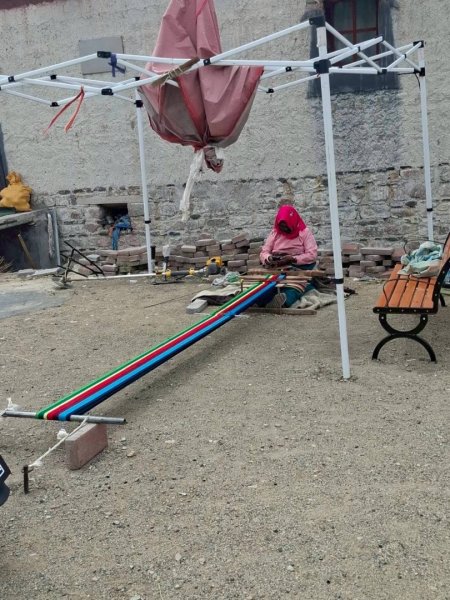 西藏♥️可愛動物🐎人物寫真/拉薩旅拍/美食2903030