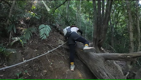 白毛山(谷關七雄No:6)3069018