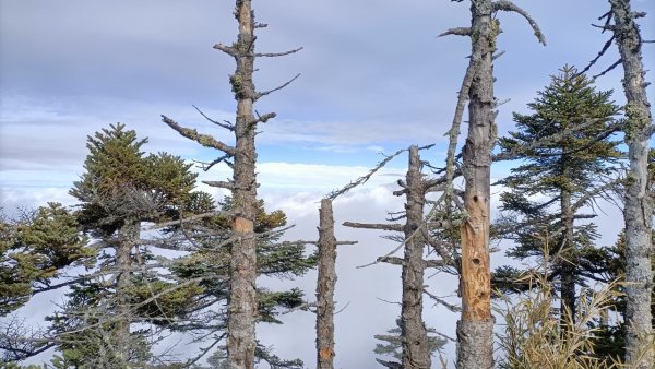 中橫特辣之白姑大山2611636