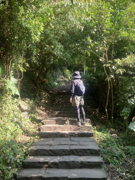 觀音山硬漢嶺登山步道+北橫古道+尖石步道2402123