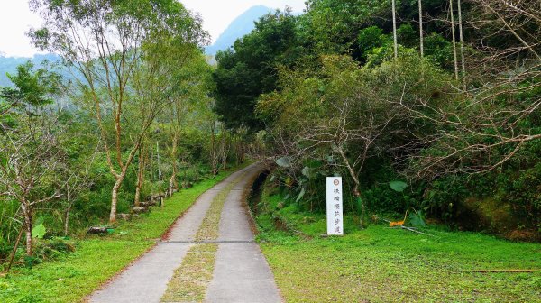 華山小天梯,情人橋2948579