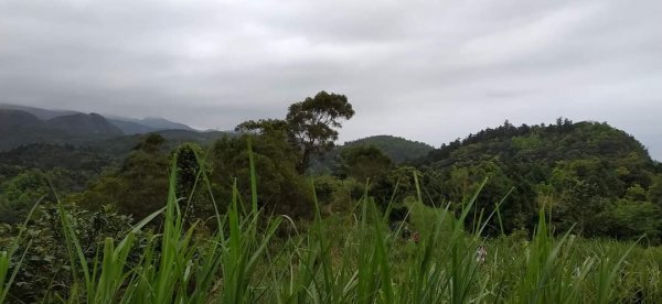 鵲子山步道 小百岳1304414