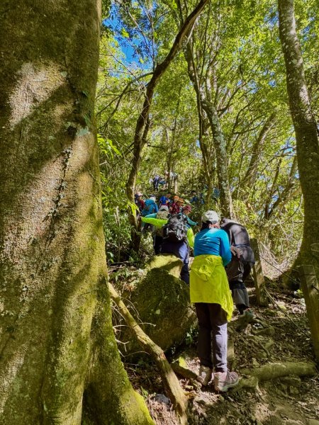 九穹神木 左訪嘉南雲峰 右到好望角看風景上石壁山(小百岳#55)2944776