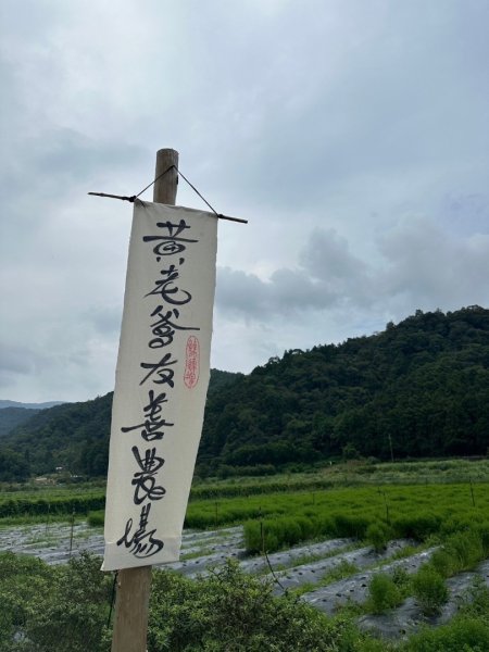 三針後山、雙連埤犬香薷節2592712