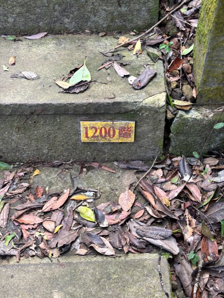 龜山島 401 高地登島2899116