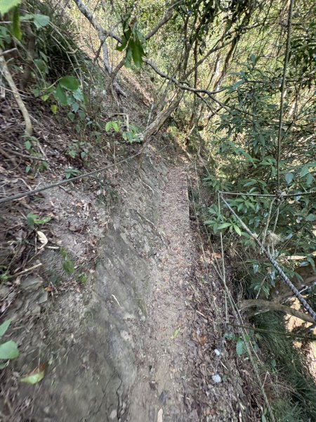 20251123台南－獵鷹尖一線天步道2944551