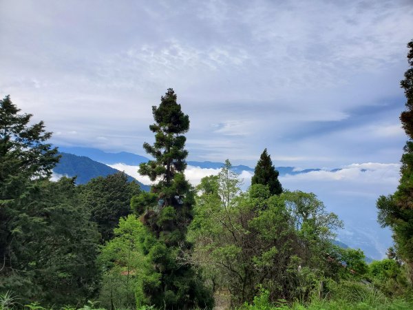 郡大碰碰車952488