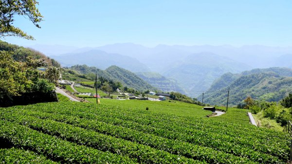 二延平步道。貿易戰2764955