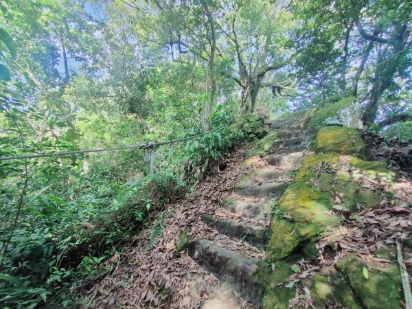 天上山、三粒半山與火焰山1664942