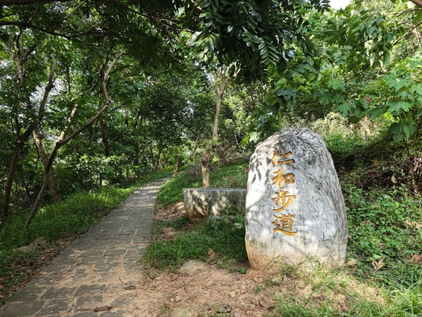 [皮皮獅動物派對-02/10] 2026_0815 仁和步道、金獅古道3112474