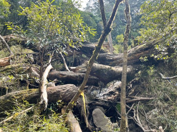 2021-03-28屏風山單攻，111.2K最新登山口去與回1337721