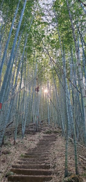 2025-01-30瑞太古道2704371