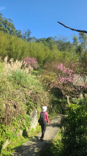 2025-0130溪和宮-大崎頭步道-鵝尾山-平溪步道-鵝尾山水田-42巷-溪山百年古圳-平菁步道2701847