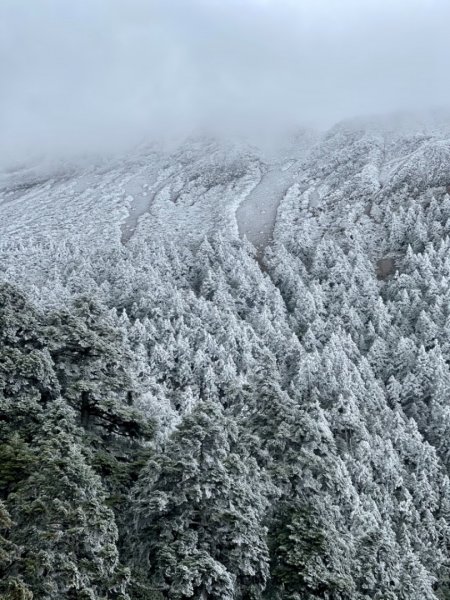 絕美銀白世界 玉山降下今年冬天「初雪」1235995