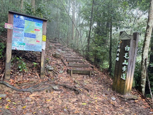 雨下的白毛山步道與白鹿吊橋2805292