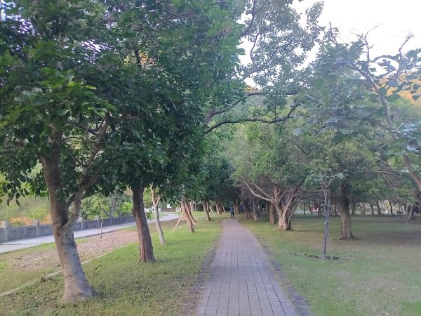 1121104貴子坑親山步道3099479