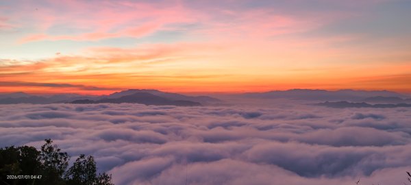 #石碇後山 #霞光 #日出 #雲海 #火燒雲 #魔目裳蛾 7/1&33080444