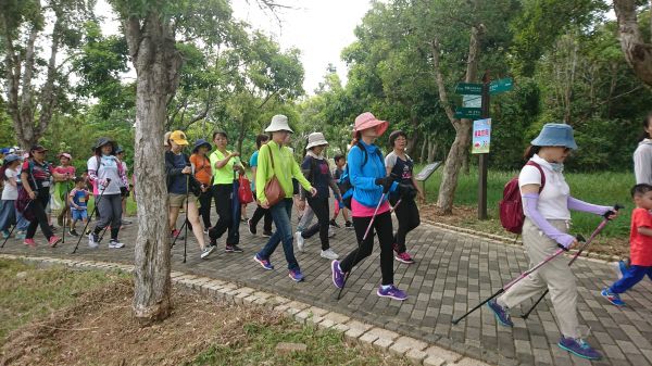 【都會公園】愛行者北歐式健走月健走活動349865