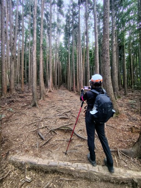 長壽山、肥崠山、醜崠山、大崠山、大崠山經建版2931531