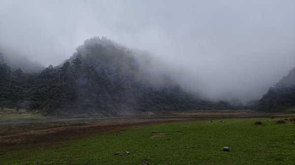 棲松縱走未竟2918415