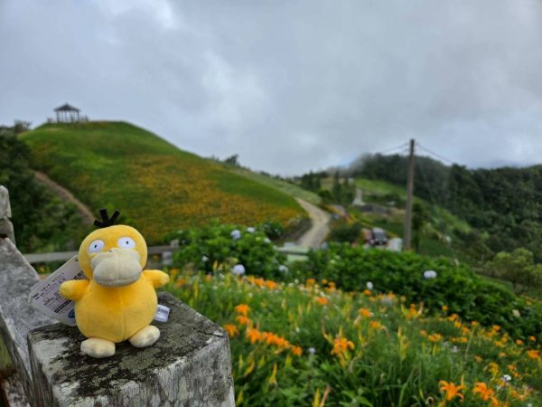 太麻里金針山2872622