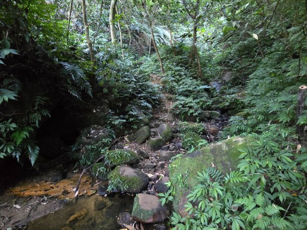 石牛山（小百岳）2909976