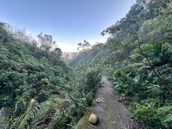 新竹新埔-蓮華山古道2628604