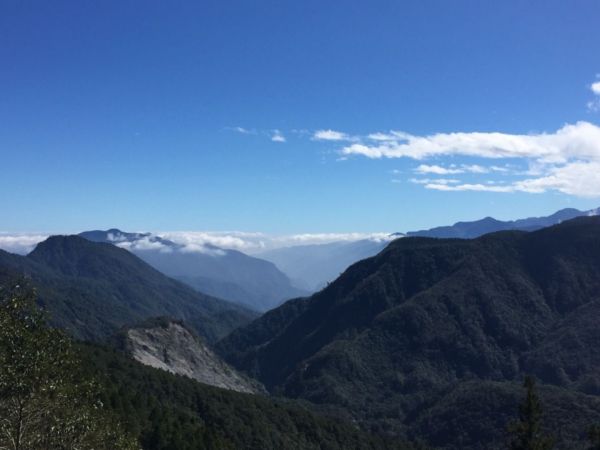 山毛櫸步道山撿山毛229675