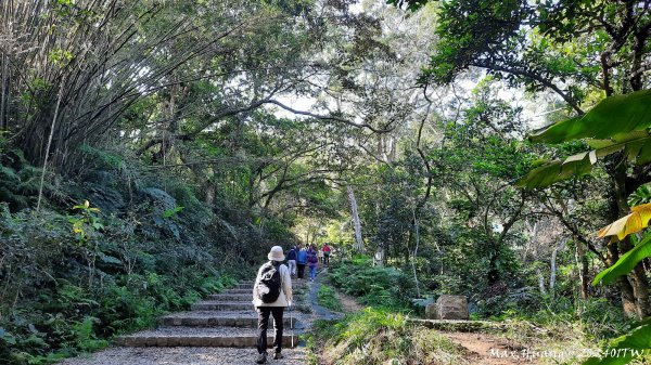 《桃園》一等郊山｜石門山登山步道O繞202401062397561